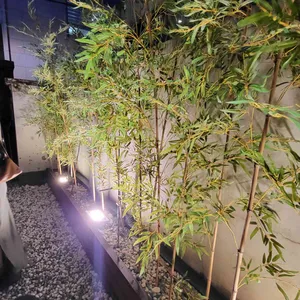 토마 리뷰 사진