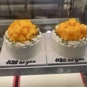 터틀힙 사진