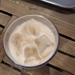 터틀힙 사진