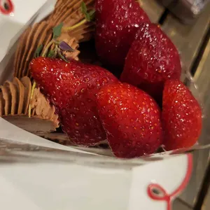 터틀힙 사진