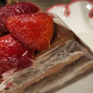 터틀힙 사진