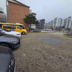 포앤박강릉쌀국수 리뷰 사진