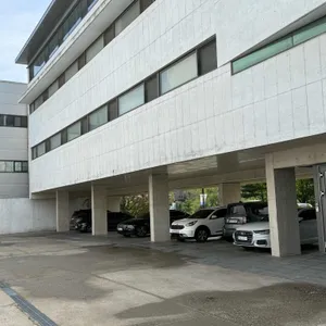 미메시스 아트 뮤지엄 카페 리뷰 사진