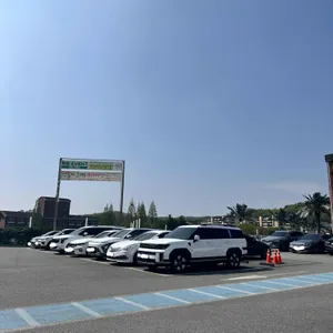 랜드마크195 리뷰 사진