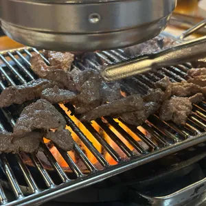 나노갈매기 사진