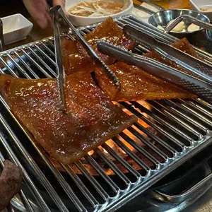 나노갈매기 사진