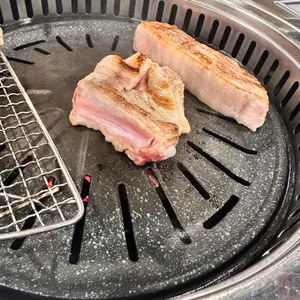 돼지대첩 사진
