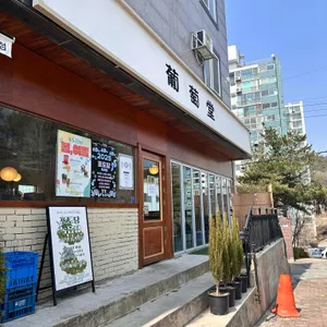 포도당 리뷰 사진