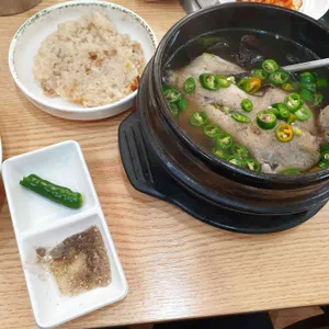 참조은능이버섯백숙 사진