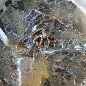 꽃피는전복식당 사진