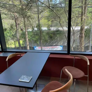 스코그 리뷰 사진