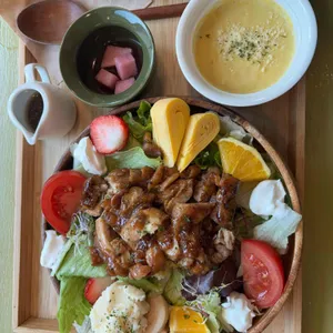 야자수 사진