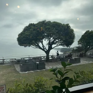 카페오션 리뷰 사진