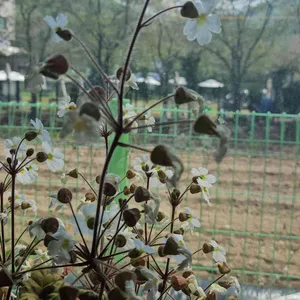 사랑채 리뷰 사진