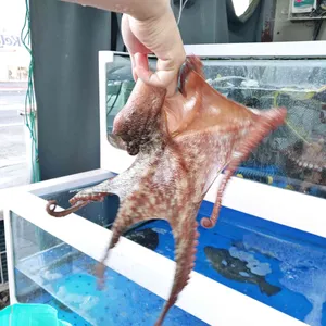 병달이 리뷰 사진