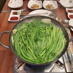 병달이 사진