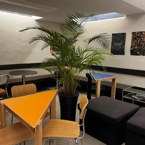 아삐에노 리뷰 사진