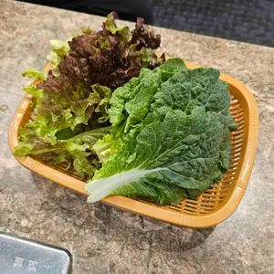 갈비만 사진