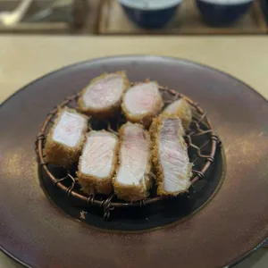 토브가츠 사진