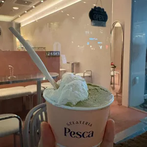 페스까 리뷰 사진