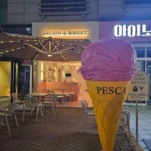 페스까 리뷰 사진