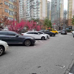 더파스코 리뷰 사진