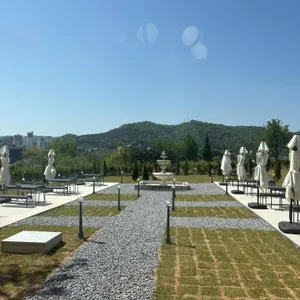 파씨오네 리뷰 사진