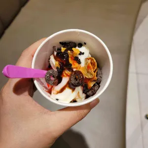 아스테라뷔페 사진