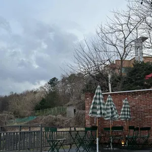 수풀사이 리뷰 사진