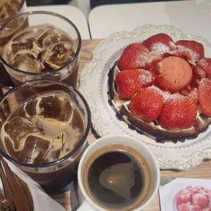 카몽 사진
