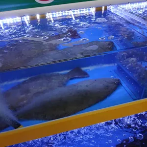 봉자네 사진