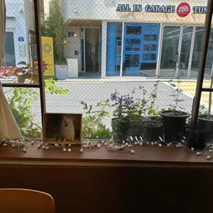카페미우 리뷰 사진