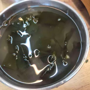 전복만세 사진