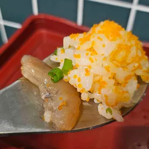 료시 사진