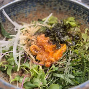 해신 사진