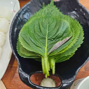 광어랑멍게 사진