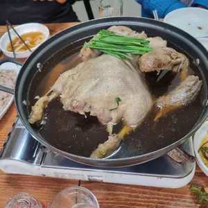 오리박사 사진