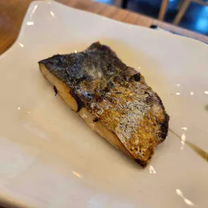 벽오동 사진