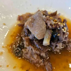 벽오동 사진