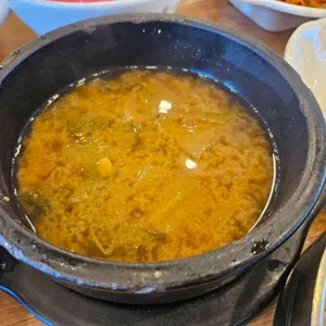 벽오동 사진
