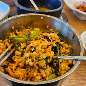 벽오동 사진