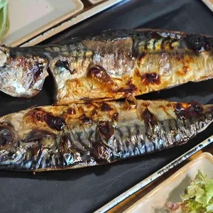 산으로 간 고등어 사진