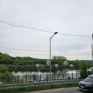 파스쿠찌 리뷰 사진
