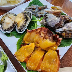 광어랑멍게 사진