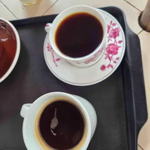 테라로사 사진