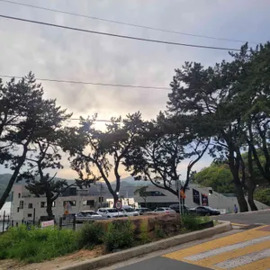돈까스시티 리뷰 사진
