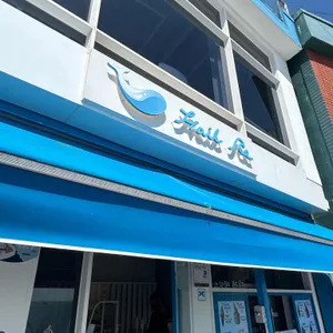 헤일르 리뷰 사진