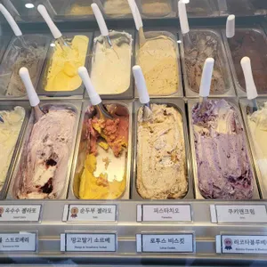 초당110 사진