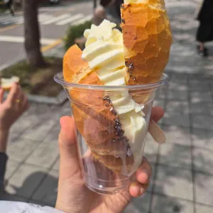 비아살라리아 사진