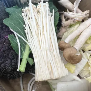 샤브마니아 사진